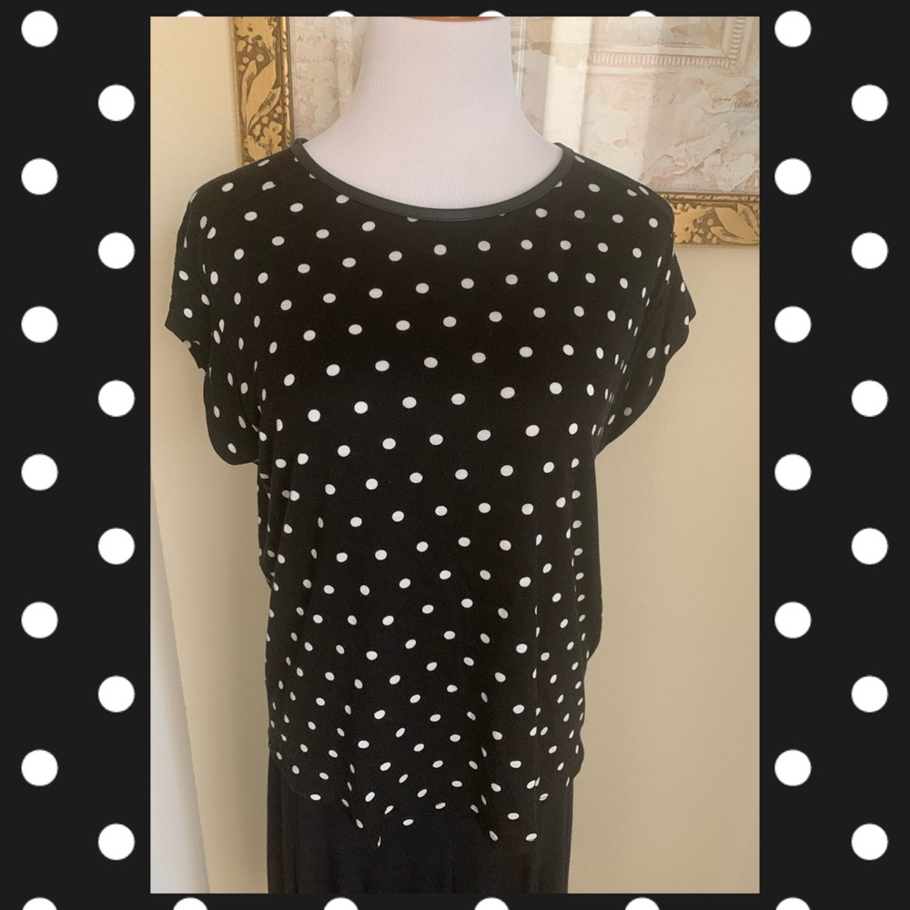 Zara W&B Collection Top
